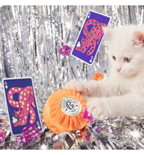 Roger & Gallet – Coffret Noël Bois d'Orange Eau Parfumée & Savon, 2 produits