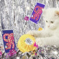Roger & Gallet – Coffret Noël Cédrat Eau Parfumée & Savon, 2 produits Roger & Gallet – Coffret Noël Cédrat Eau Parfumée & Savon, 2 produits