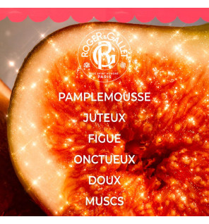 Roger & Gallet – Coffret Noël Fleur de Figuier Eau Parfumée & Lait Corps, 2 produits