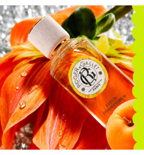 Roger & Gallet – Coffret Noël Fleur d'Osmanthus Eau Parfumée & Crème Mains, 2 produits