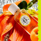 Roger & Gallet – Coffret Noël Fleur d'Osmanthus Eau Parfumée & Crème Mains, 2 produits