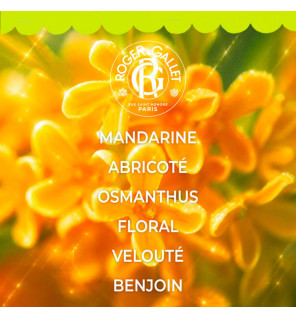 Roger & Gallet – Coffret Noël Fleur d'Osmanthus Eau Parfumée & Crème Mains, 2 produits