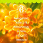 Roger & Gallet – Coffret Noël Fleur d'Osmanthus Eau Parfumée & Crème Mains, 2 produits