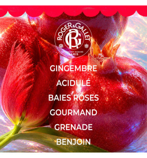 Roger & Gallet – Coffret Noël Gingembre Rouge Eau Parfumée & Lait Corps, 2 produits