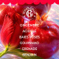 Roger & Gallet – Coffret Noël Gingembre Rouge Eau Parfumée & Lait Corps, 2 produits Roger & Gallet – Coffret Noël Gingembre Rouge Eau Parfumée & Lait Corps, 2 produits