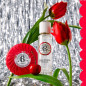 Roger & Gallet – Coffret Noël Gingembre Rouge Eau Parfumée & Savon, 2 produits Roger & Gallet – Coffret Noël Gingembre Rouge Eau Parfumée & Savon, 2 produits