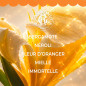 Roger & Gallet – Coffret Noël Néroli Eau Parfumée & Lait Corps, 2 produits Roger & Gallet – Coffret Noël Néroli Eau Parfumée & Lait Corps, 2 produits