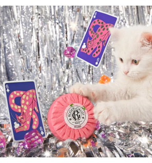 Roger & Gallet – Coffret Noël Rose Eau Parfumée & Savon, 2 produits