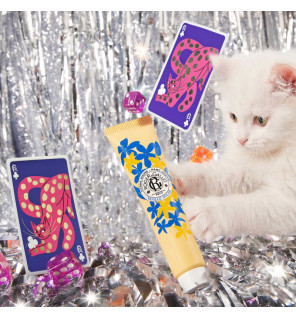 Roger & Gallet – Coffret Noël Vanille Soleil Eau Parfumée & Crème Mains, 2 produits