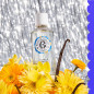 Roger & Gallet – Coffret Noël Vanille Soleil Eau Parfumée & Lait Corps, 2 produits