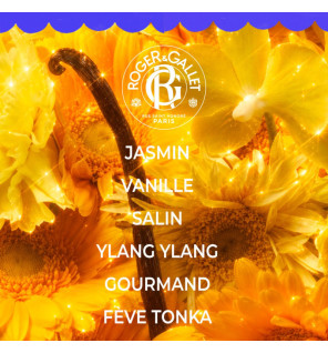 Roger & Gallet – Coffret Noël Vanille Soleil Eau Parfumée & Lait Corps, 2 produits