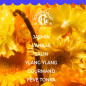 Roger & Gallet – Coffret Noël Vanille Soleil Eau Parfumée & Lait Corps, 2 produits