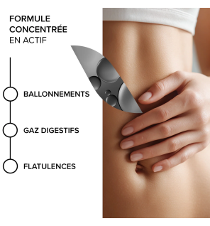 Arkopharma – Arkogélules Bio Charbon Végétal Activé, 80 gélules