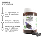 Arkopharma – Arkogélules Bio Charbon Végétal Activé, 80 gélules