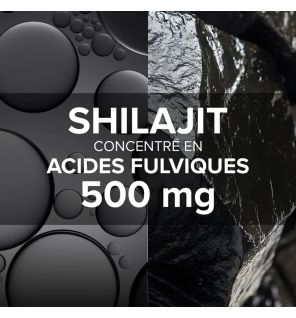 Arkopharma – Arkogélules Shilajit, 60 gélules