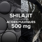 Arkopharma – Arkogélules Shilajit, 60 gélules Arkopharma – Arkogélules Shilajit, 60 gélules