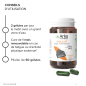 Arkopharma – Arkogélules Shilajit, 60 gélules Arkopharma – Arkogélules Shilajit, 60 gélules
