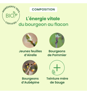 Herbalgem – FEM50+ Gem Spray Bio Ménopause, 15 ml