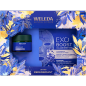 Weleda – Coffret de Noël Gentiane Bleue, 2 produits Weleda – Coffret de Noël Gentiane Bleue, 2 produits