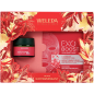 Weleda – Coffret de Noël Visage Grenade, 2 produits Weleda – Coffret de Noël Visage Grenade, 2 produits