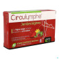Santé Verte – Circulymphe, 30 comprimés