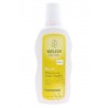 Weleda Shampooing usage fréquent au Millet 190 ML