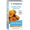 Arkopharma Arkogélules Curcuma 45 gélules