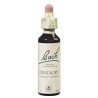 Fleurs Bach Original Centaury N°4 20 ml