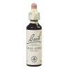 Fleurs de Bach Original Crab Apple N°10 20 ml