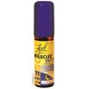 Bach Original Rescue Nuit Spray 20 ml