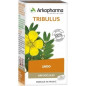 Arkogégules – Tribulus, 45 gélules Arkogégules – Tribulus, 45 gélules