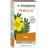 Arkopharma Arkogélules Tribulus 45 gélules