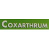 COXARTHRUM