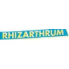 RHIZARTHRUM