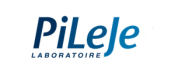 Pileje